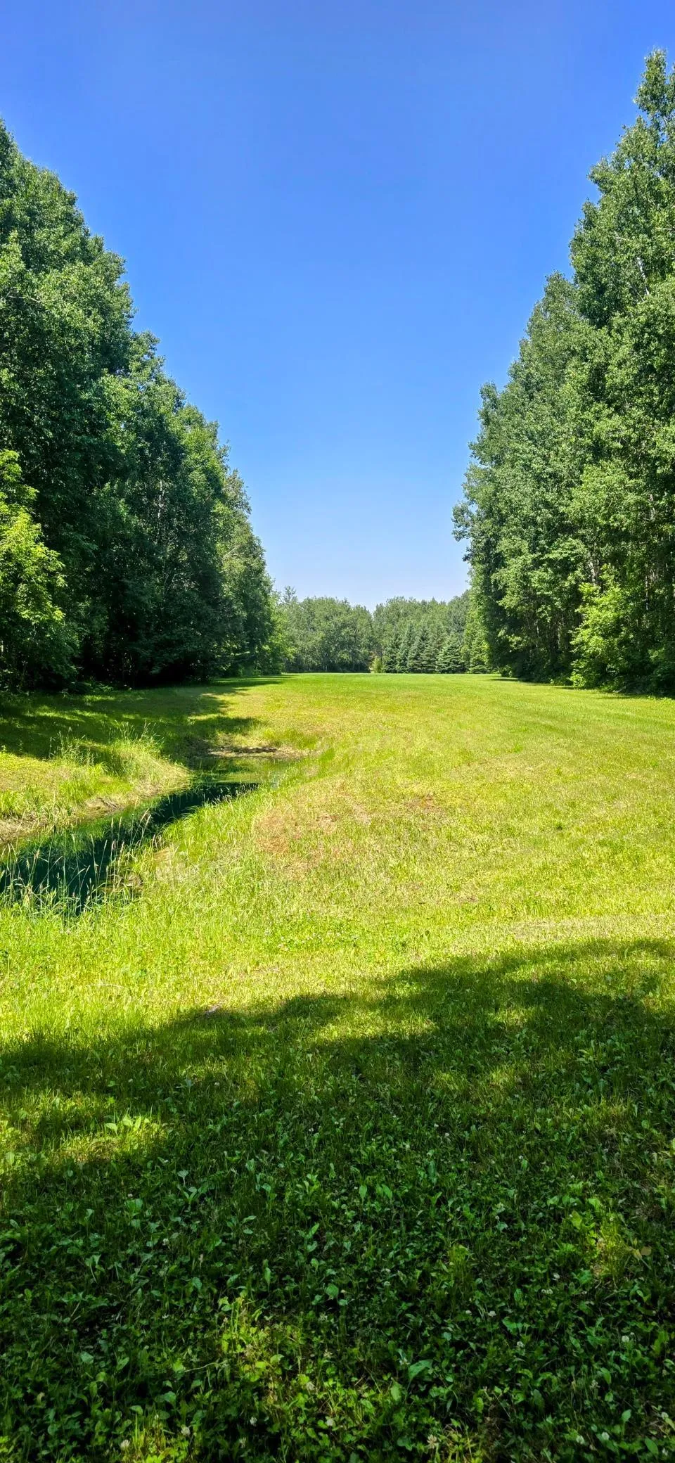 2965 Bankton Road SW Baudette, MN 56623