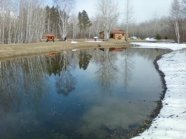 2965 Bankton Road SW Baudette, MN 56623