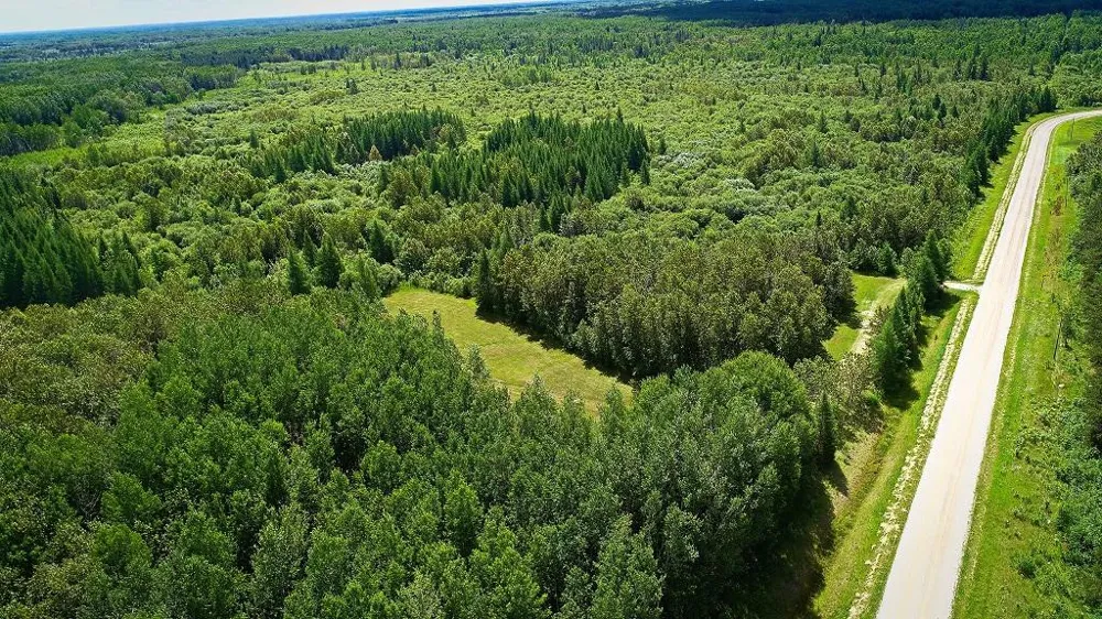 2965 Bankton Road SW Baudette, MN 56623