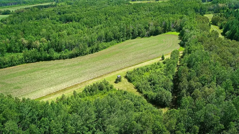 2965 Bankton Road SW Baudette, MN 56623