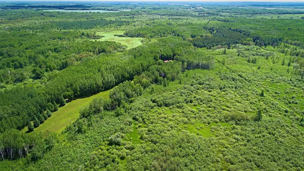 2965 Bankton Road SW Baudette, MN 56623