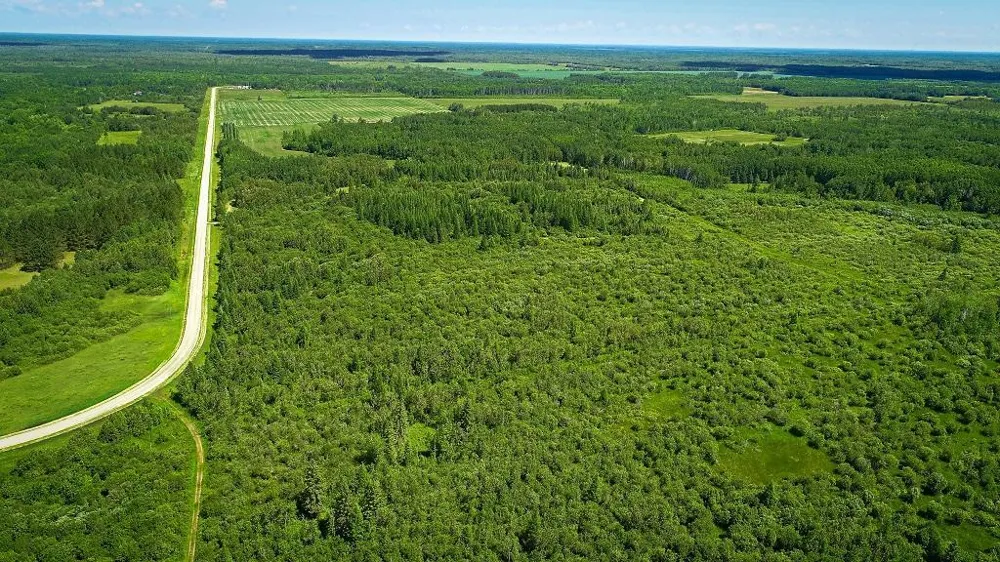 2965 Bankton Road SW Baudette, MN 56623