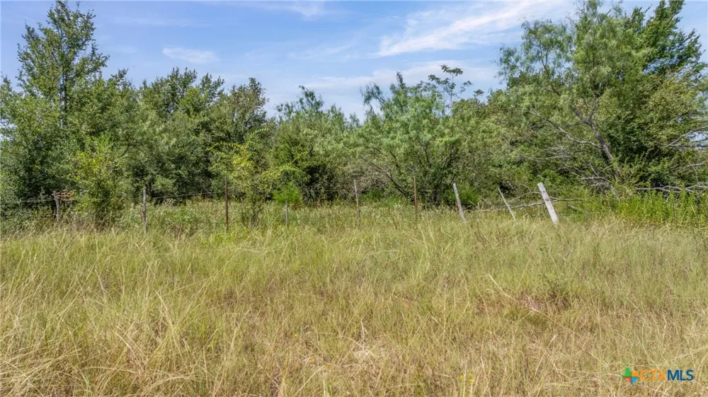 Moss Springs Road Kosse, TX 76653