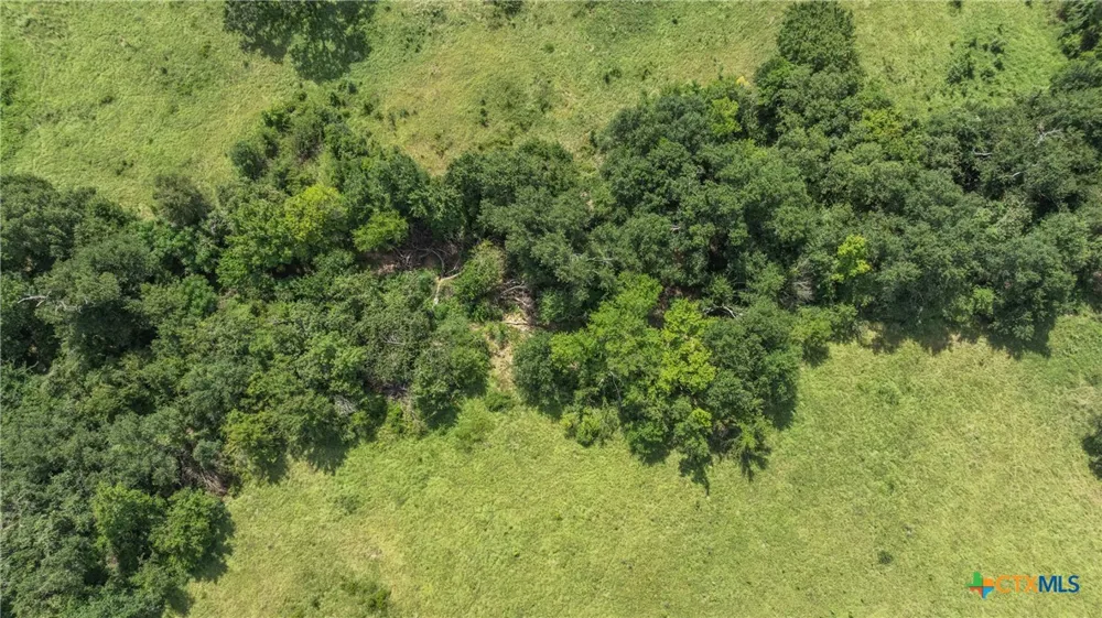 Moss Springs Road Kosse, TX 76653