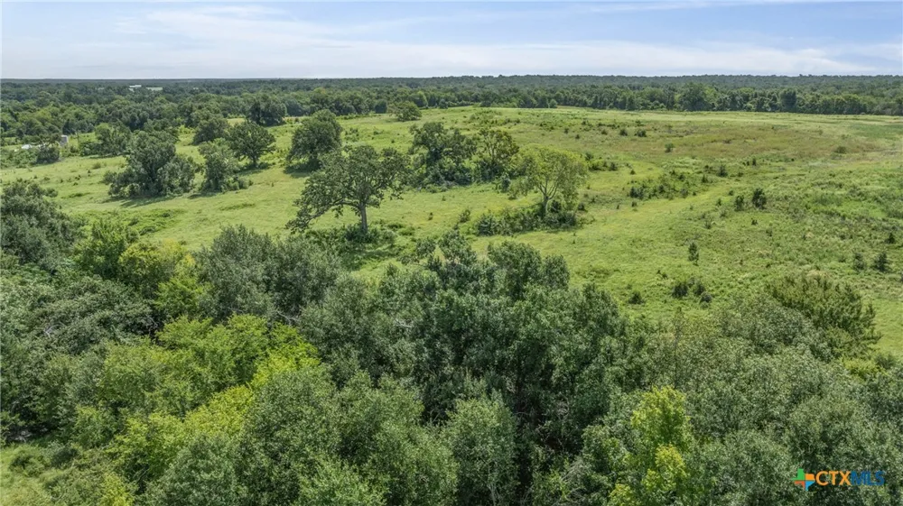 Moss Springs Road Kosse, TX 76653