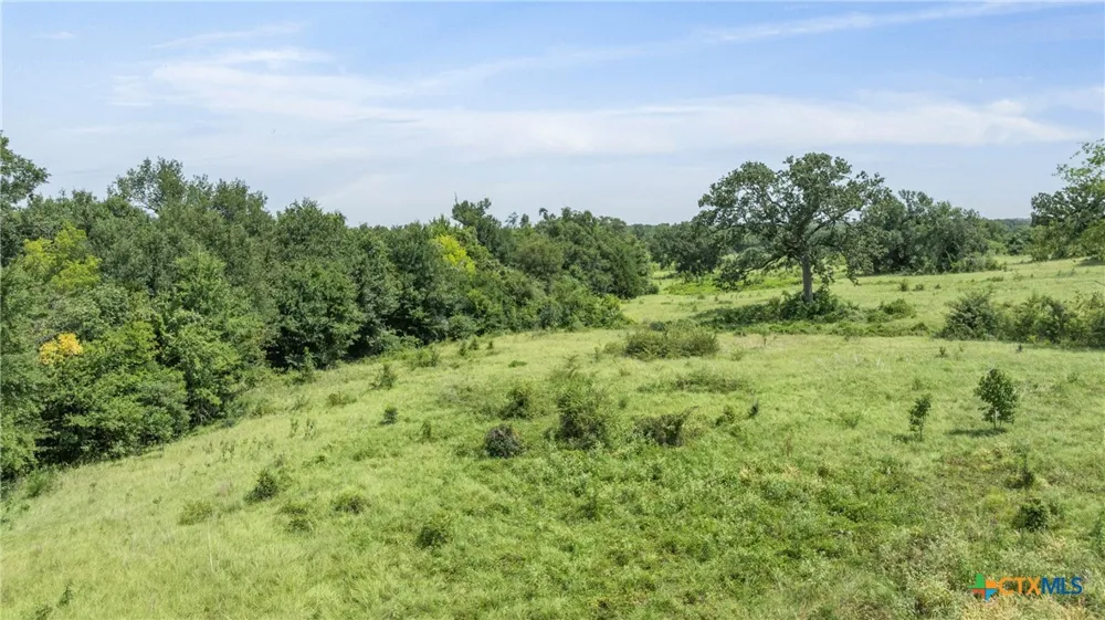 Moss Springs Road Kosse, TX 76653