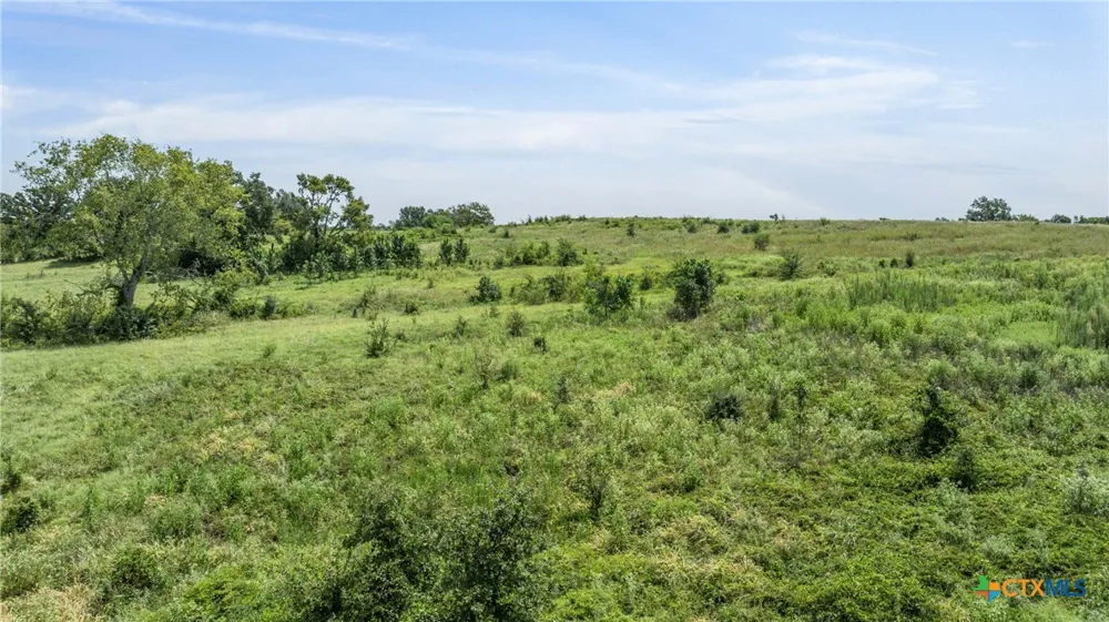 Moss Springs Road Kosse, TX 76653