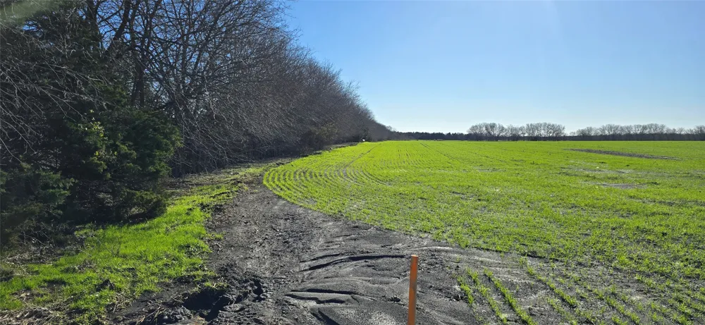 197 FM RD 548 Forney, TX 75126