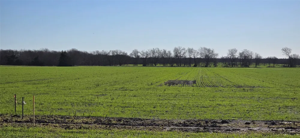 197 FM RD 548 Forney, TX 75126