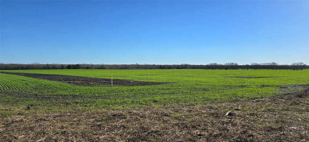 197 FM RD 548 Forney, TX 75126