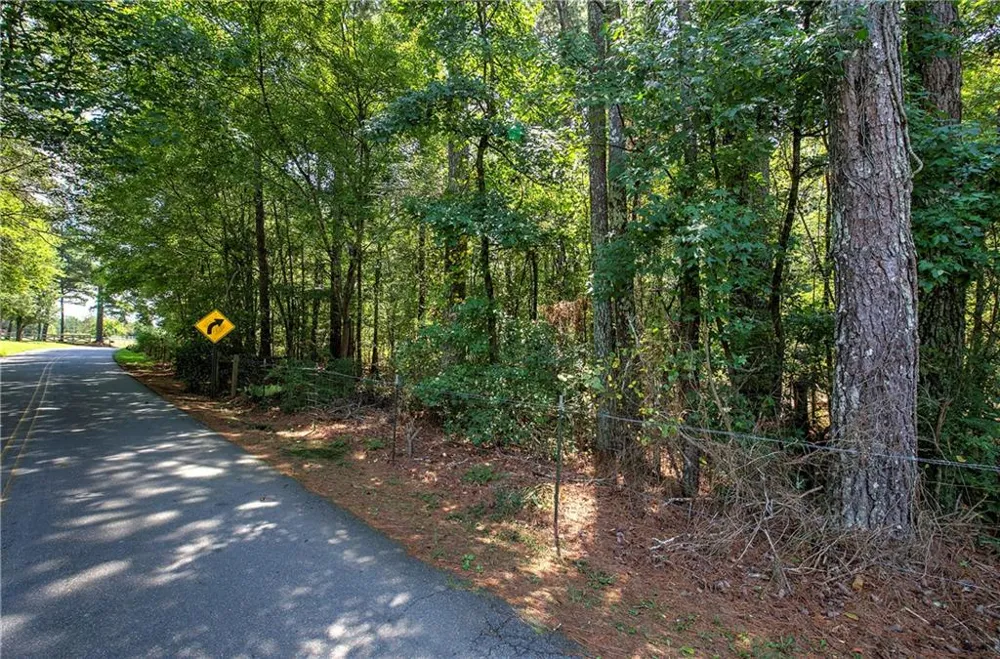 00 Crowe Springs Spur NW Adairsville, GA 30103