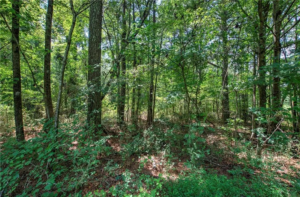 00 Crowe Springs Spur NW Adairsville, GA 30103