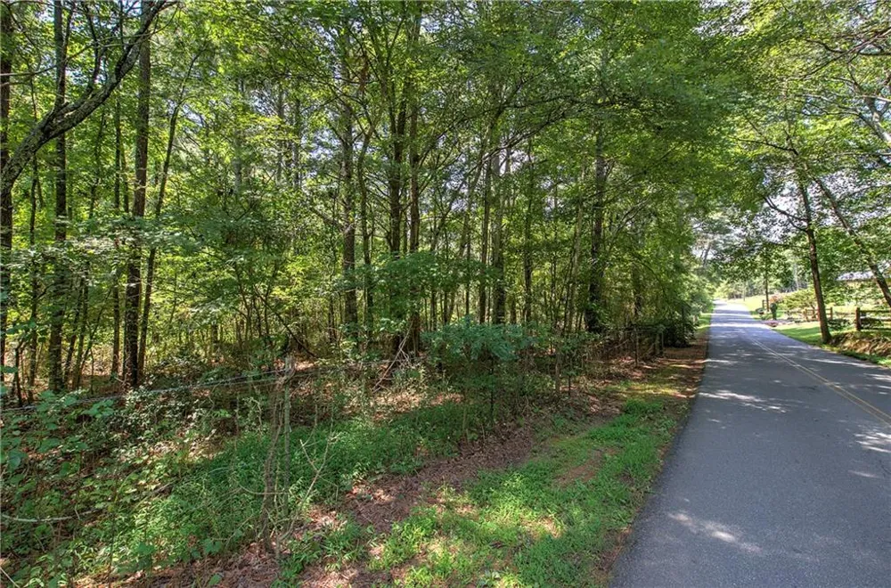 00 Crowe Springs Spur NW Adairsville, GA 30103