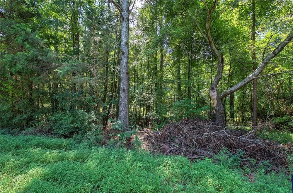 00 Crowe Springs Spur NW Adairsville, GA 30103