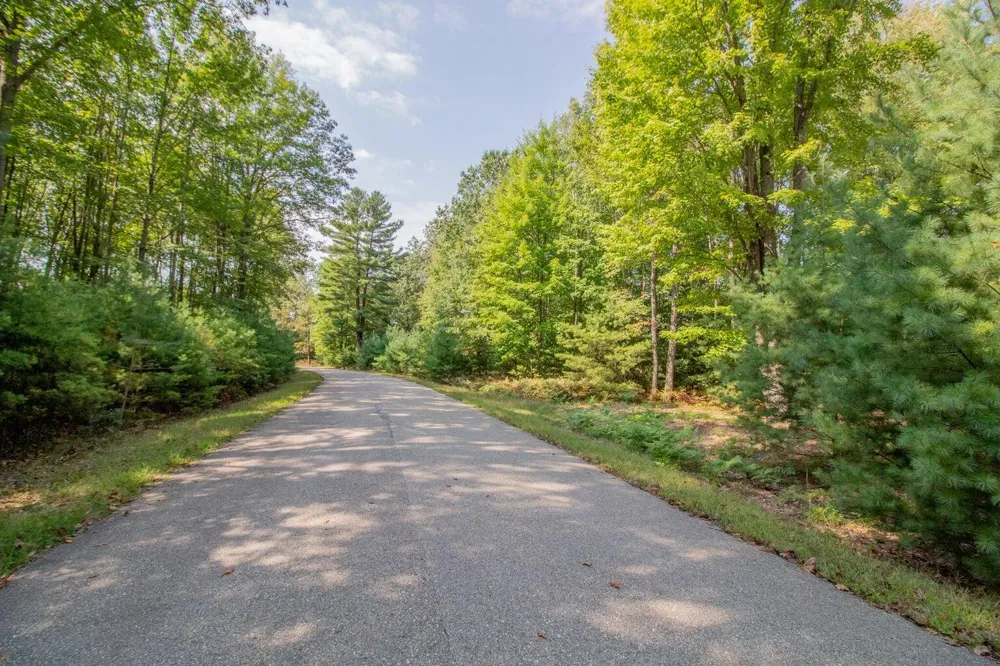 6362 Cedar Trace Canadian Lakes, MI 49346