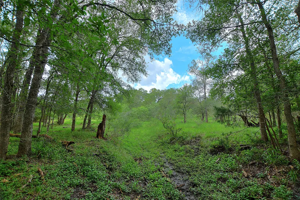 E Whitworth Lane E Bastrop, TX 78602