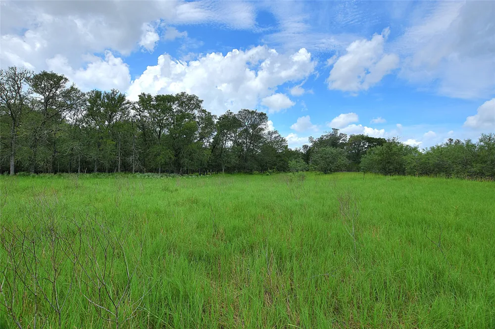 E Whitworth Lane E Bastrop, TX 78602