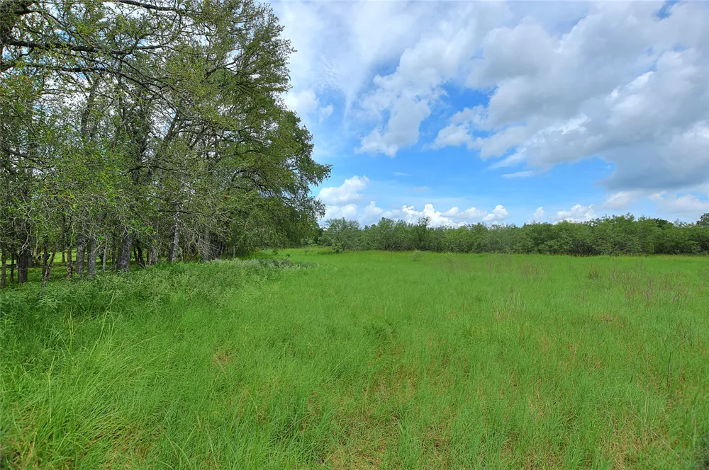 E Whitworth Lane E Bastrop, TX 78602