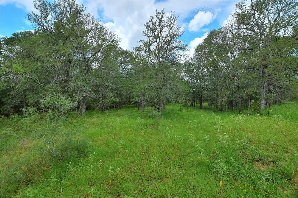 E Whitworth Lane E Bastrop, TX 78602