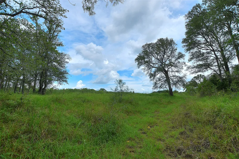 E Whitworth Lane E Bastrop, TX 78602