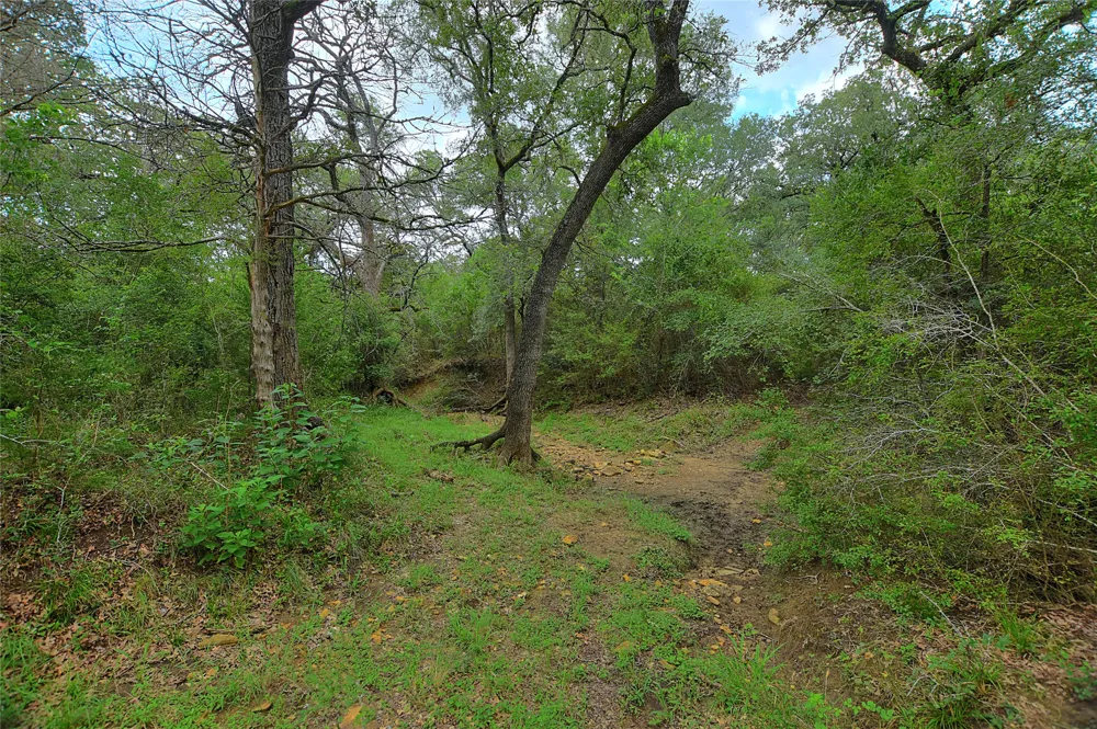 E Whitworth Lane E Bastrop, TX 78602