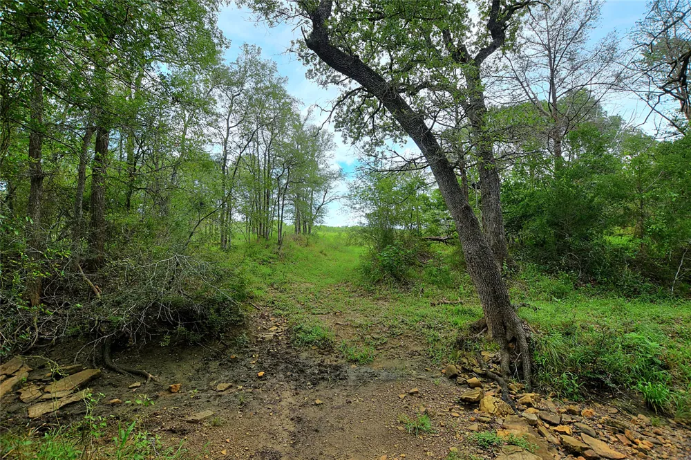 E Whitworth Lane E Bastrop, TX 78602
