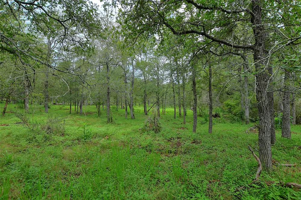 E Whitworth Lane E Bastrop, TX 78602