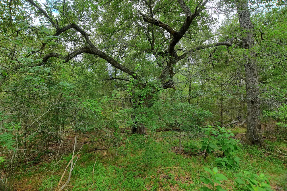 E Whitworth Lane E Bastrop, TX 78602
