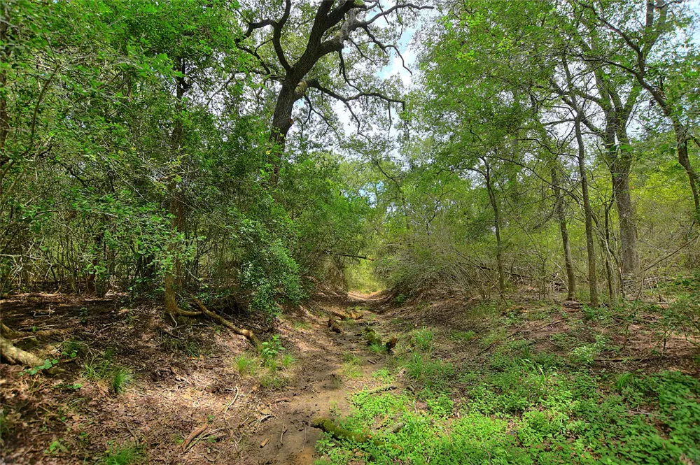 E Whitworth Lane E Bastrop, TX 78602