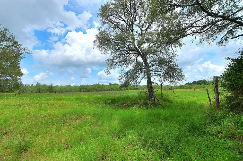 E Whitworth Lane E Bastrop, TX 78602
