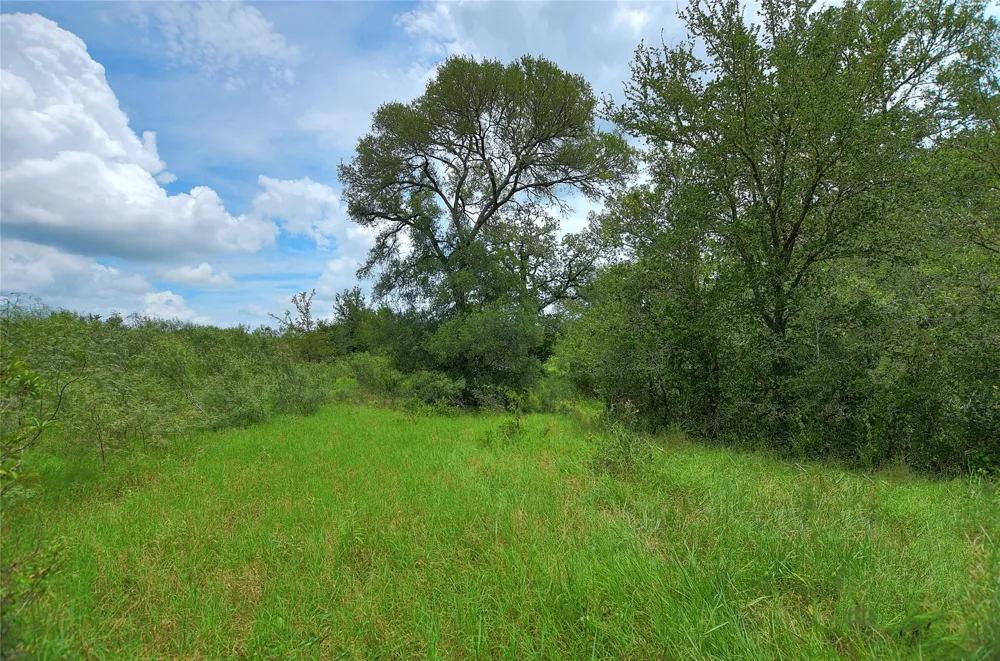 E Whitworth Lane E Bastrop, TX 78602