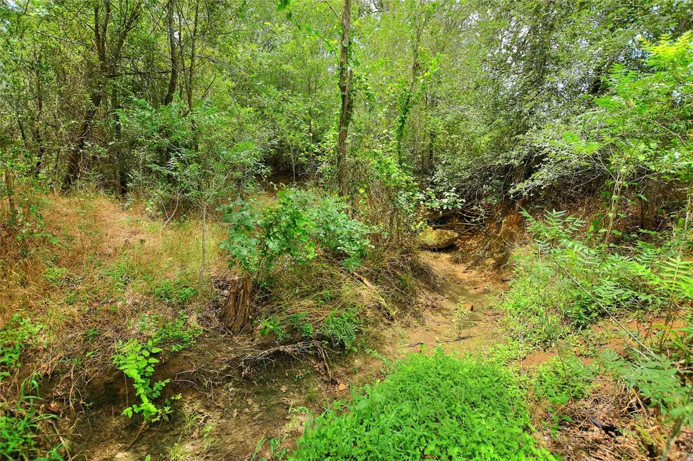 E Whitworth Lane E Bastrop, TX 78602