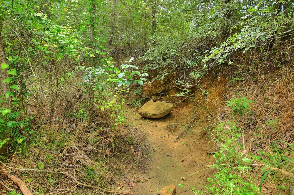 E Whitworth Lane E Bastrop, TX 78602