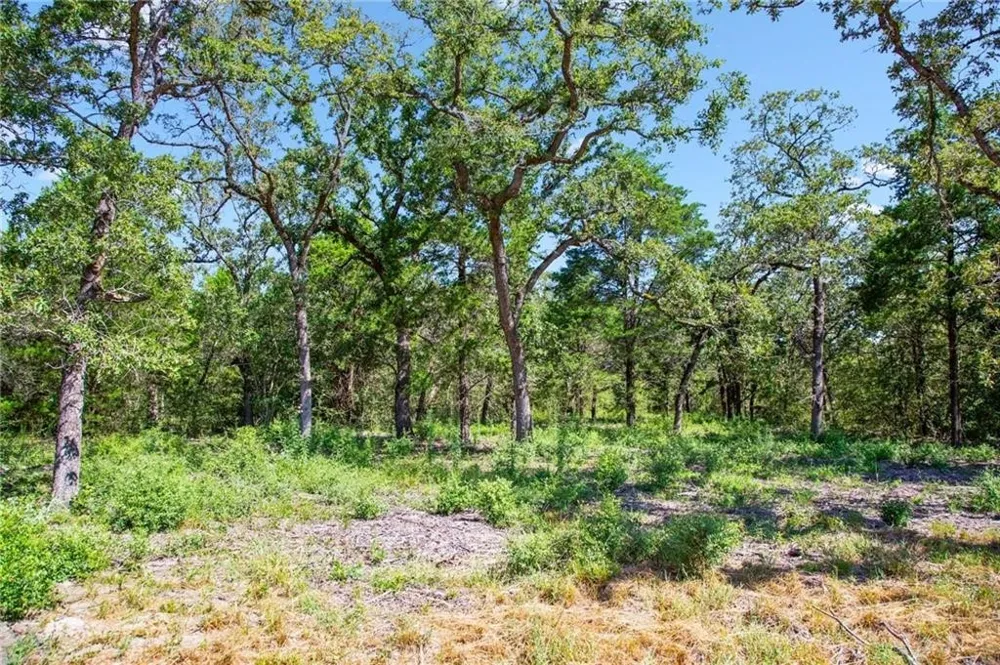 1136 Oak View Lane #Lot 22 Thrall, TX 76578