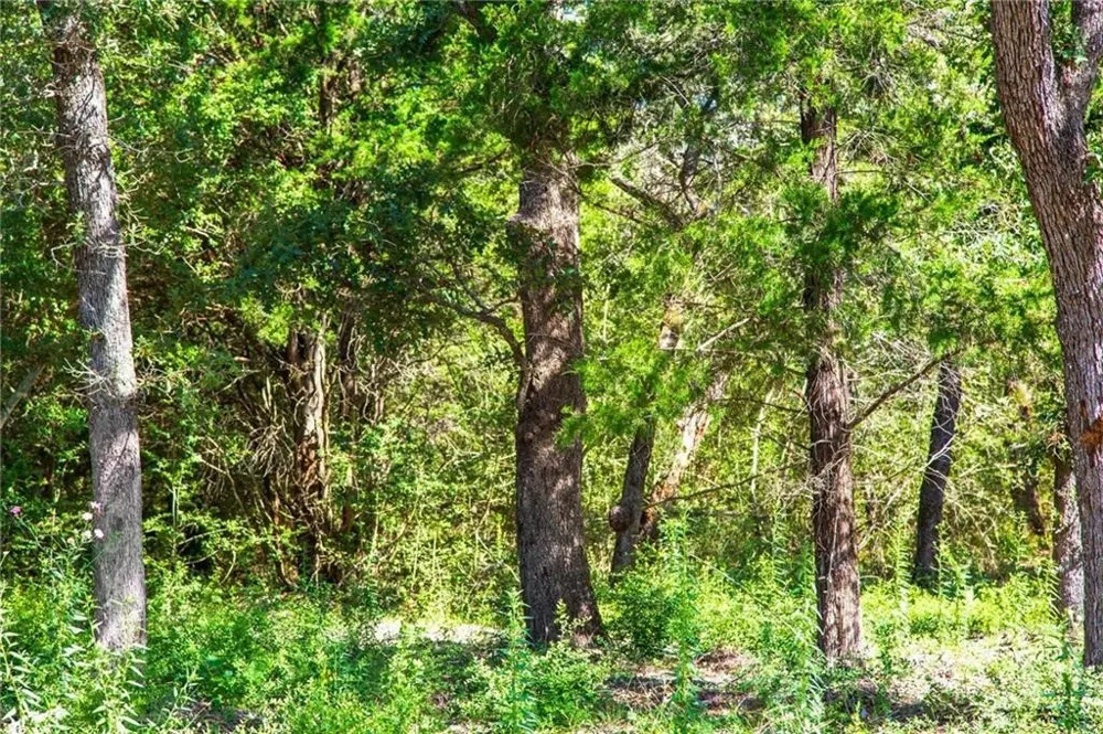 1136 Oak View Lane #Lot 22 Thrall, TX 76578