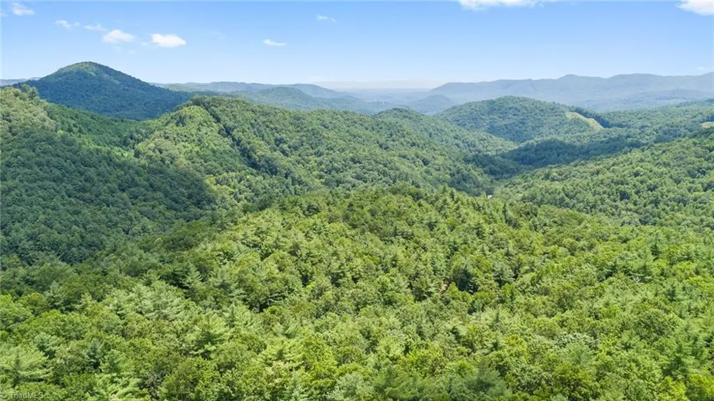 00 clear branch Drive Millers Creek, NC 28651