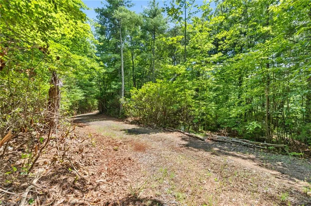 00 clear branch Drive Millers Creek, NC 28651