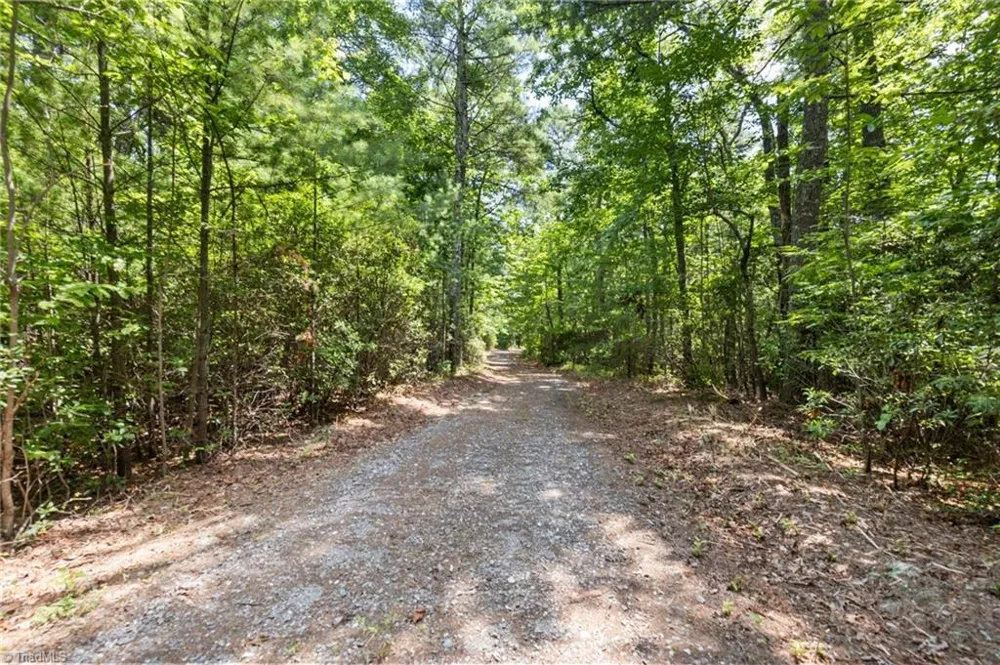 00 clear branch Drive Millers Creek, NC 28651