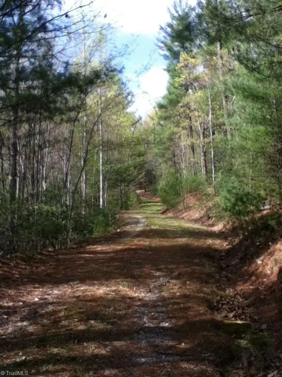 00 clear branch Drive Millers Creek, NC 28651