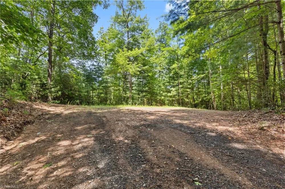 00 clear branch Drive Millers Creek, NC 28651