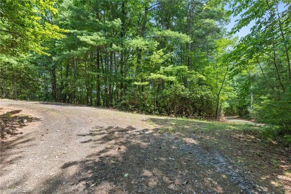 00 clear branch Drive Millers Creek, NC 28651