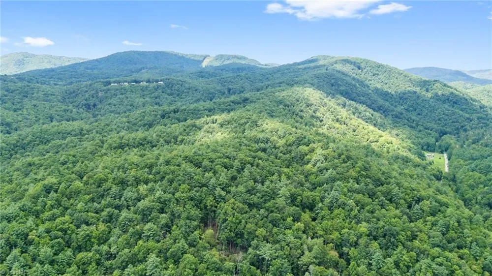 00 clear branch Drive Millers Creek, NC 28651