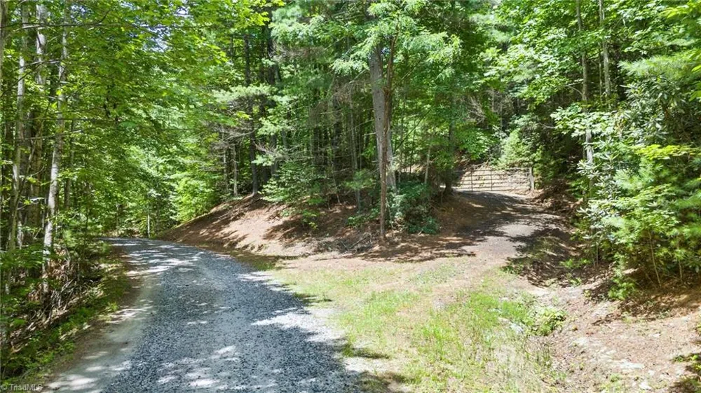 00 clear branch Drive Millers Creek, NC 28651