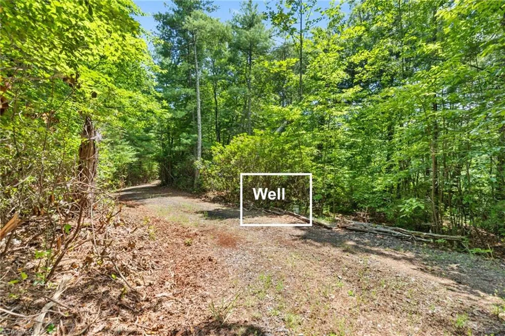 00 clear branch Drive Millers Creek, NC 28651