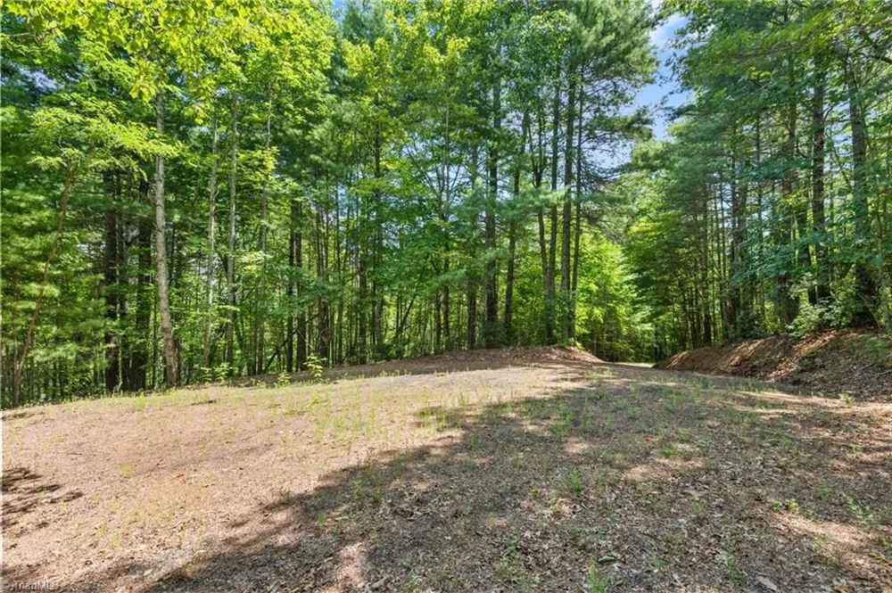 00 clear branch Drive Millers Creek, NC 28651