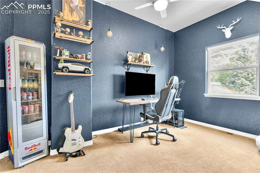 313 Milton Street Palmer Lake, CO 80133