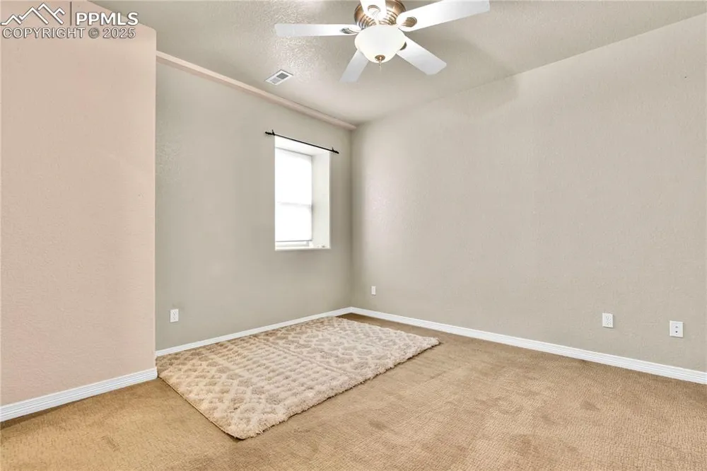 313 Milton Street Palmer Lake, CO 80133