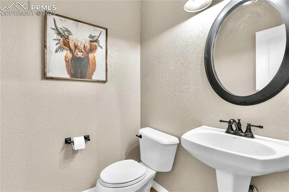 313 Milton Street Palmer Lake, CO 80133