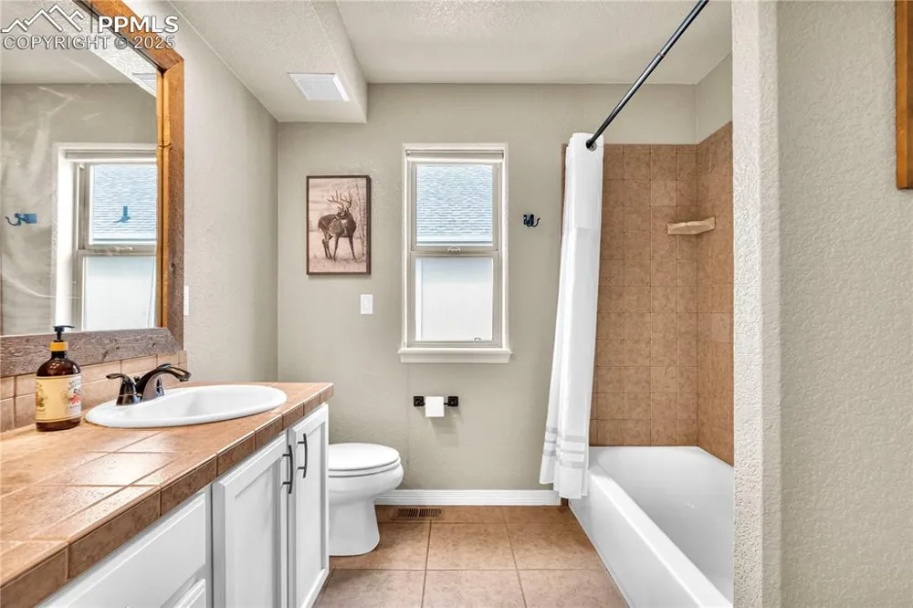 313 Milton Street Palmer Lake, CO 80133