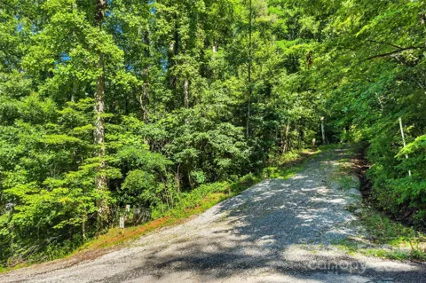 Lot #76 Hunnicut Spur Road